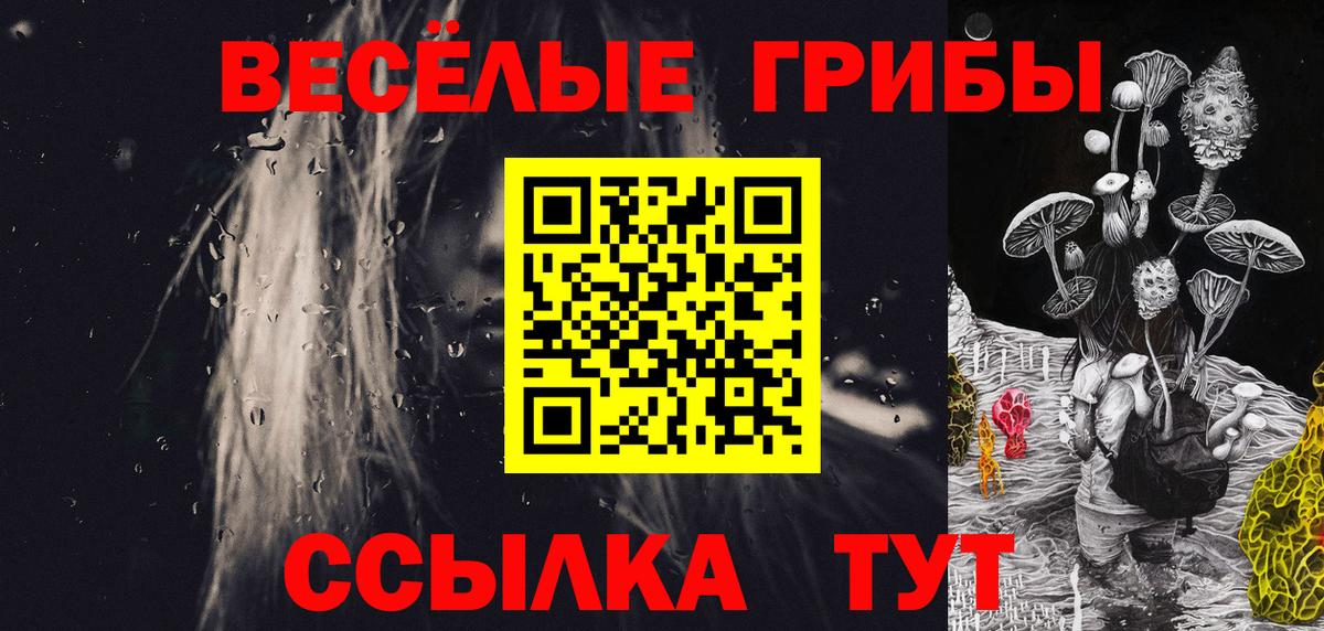 Псилоцибиновые грибы Psilocybe  Вход с VPN  Люберцы 
